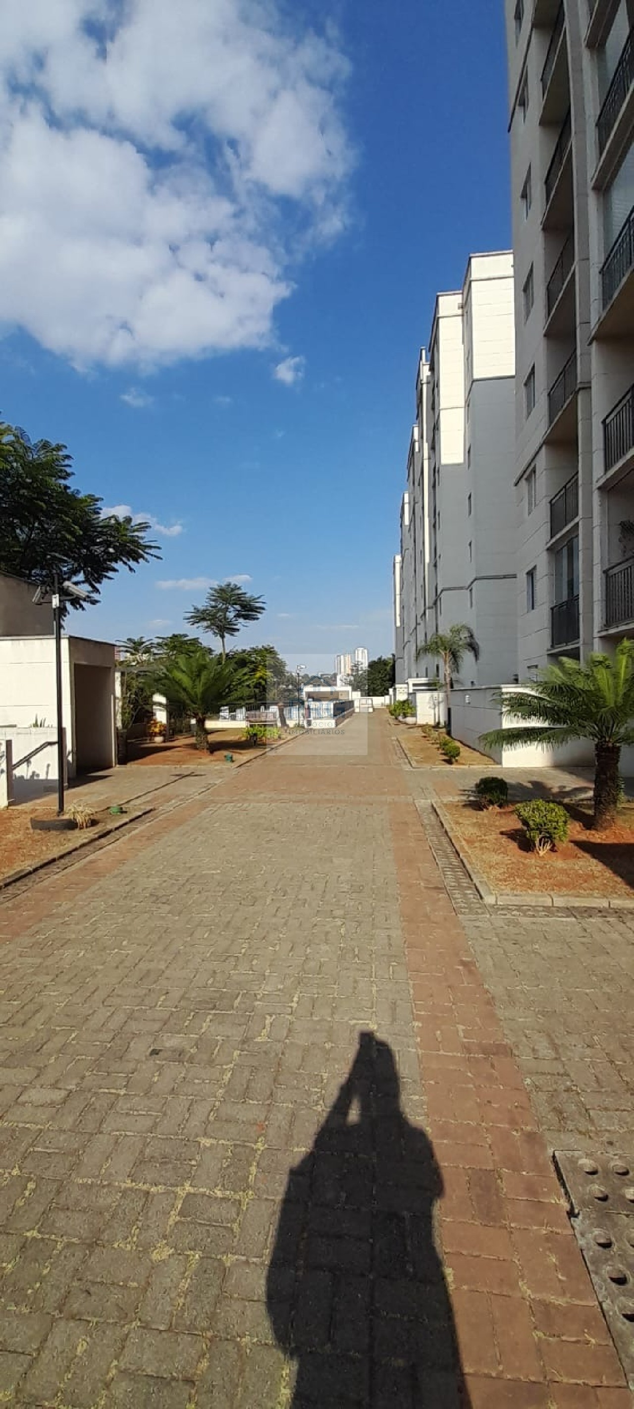 Apartamento, 3 quartos, 67 m² - Foto 7