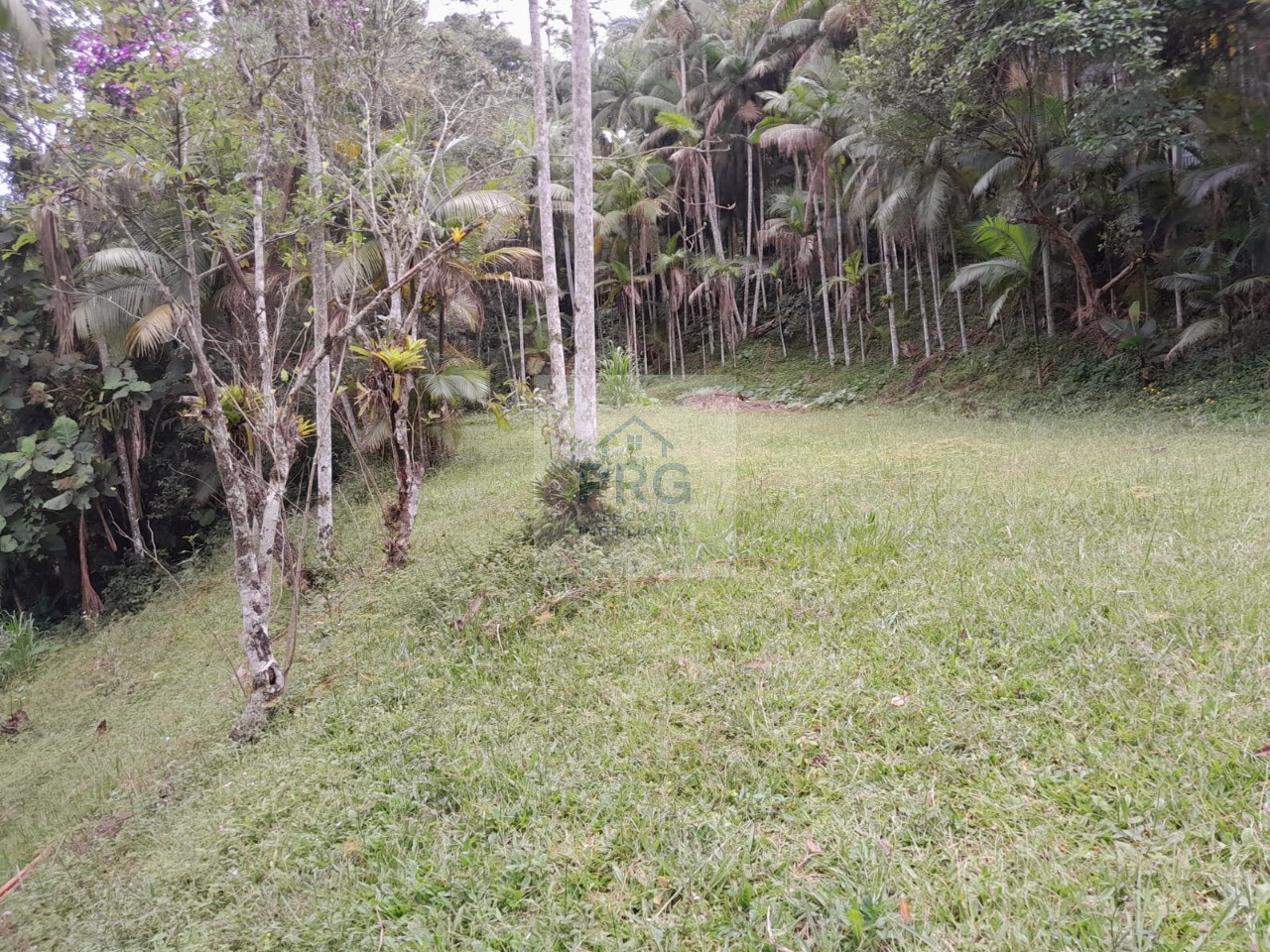 Chácara, 3 quartos, 7 hectares - Foto 2