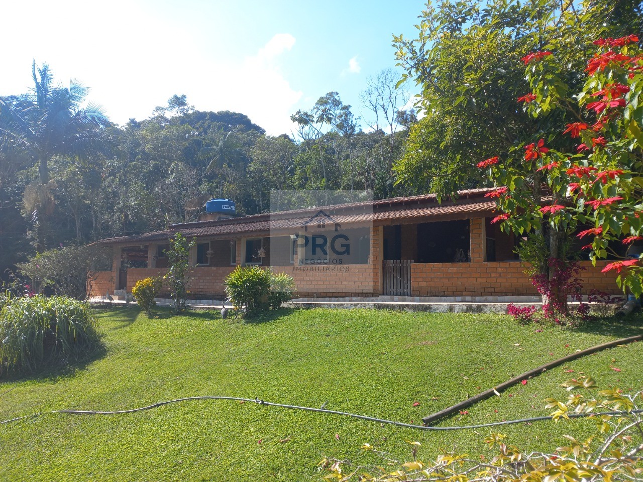 Chácara, 3 quartos, 8000 m² - Foto 1