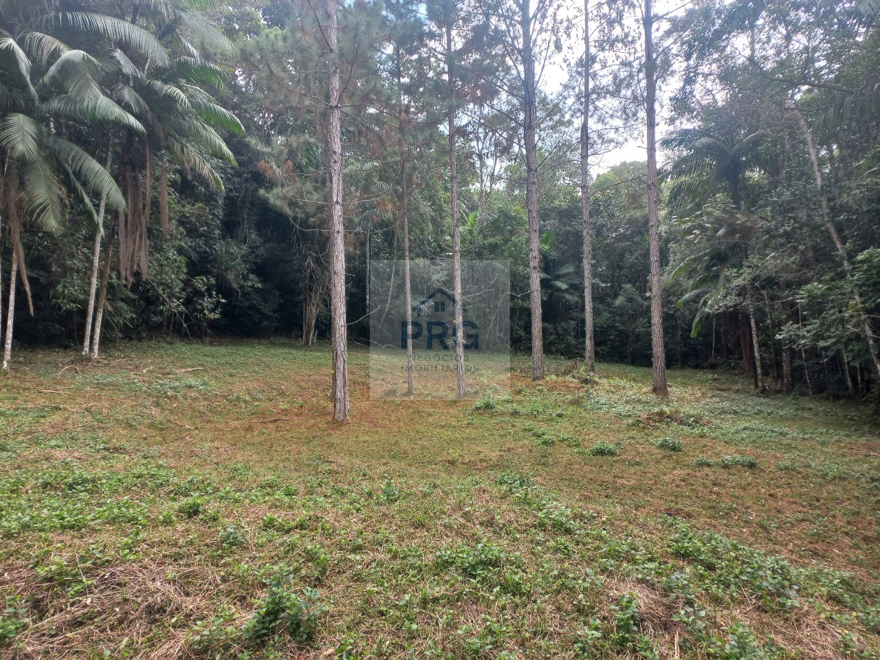 Chácara, 3 quartos - Foto 14