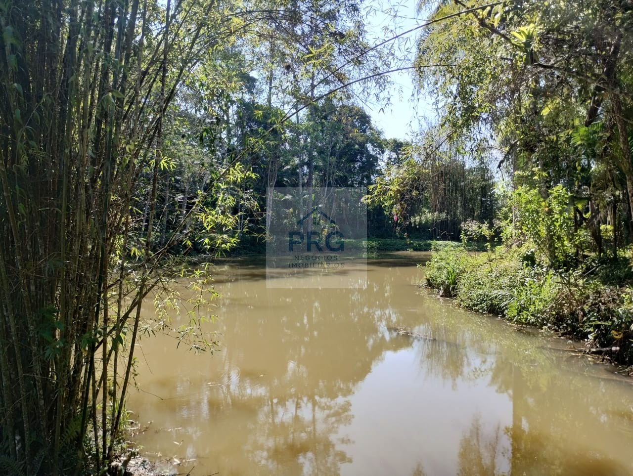 Chácara, 3 quartos, 7 hectares - Foto 15