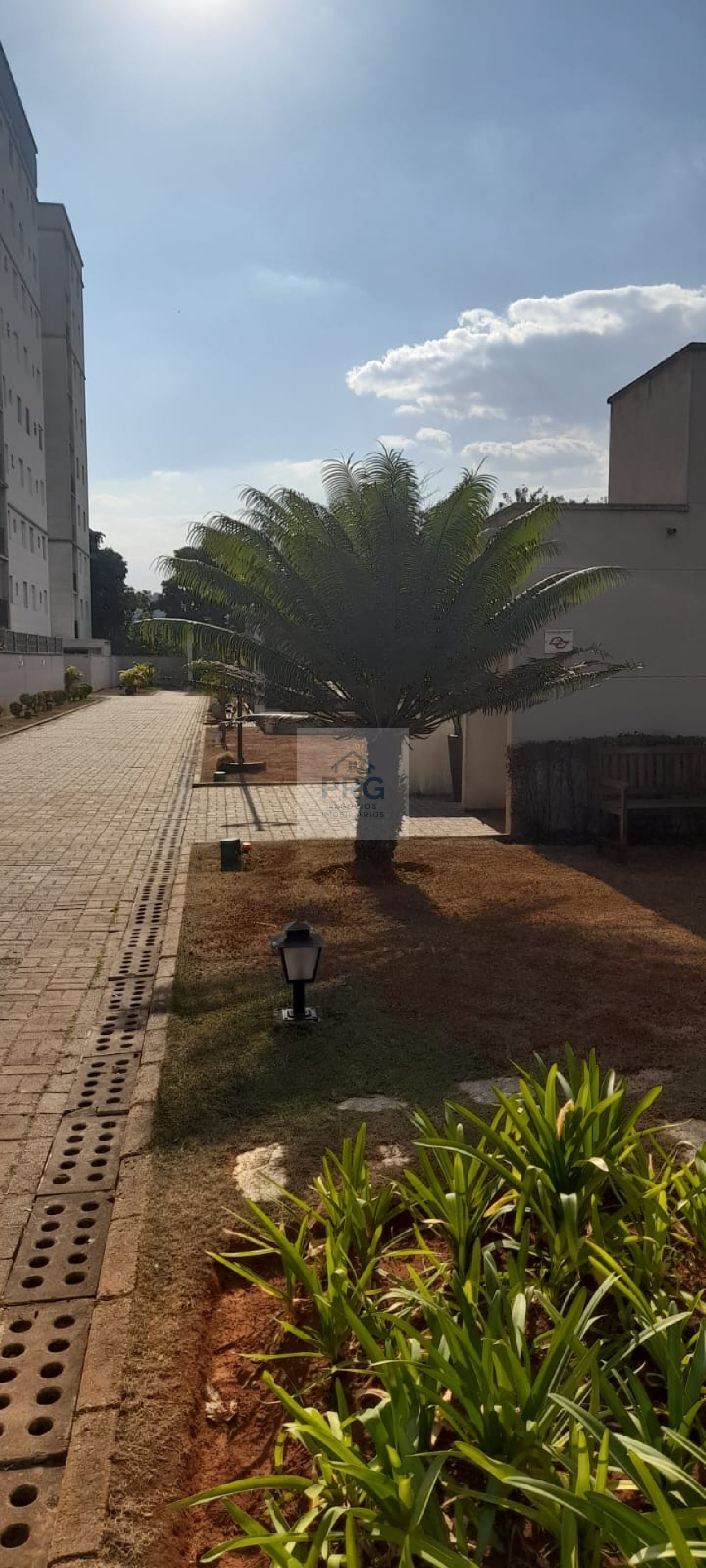 Apartamento, 3 quartos, 67 m² - Foto 13