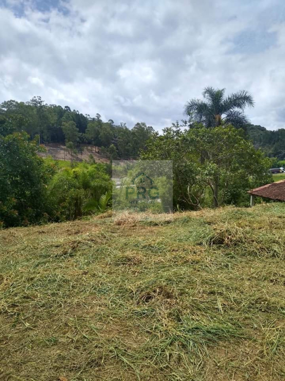 Terreno, 1500 m² - Foto 6