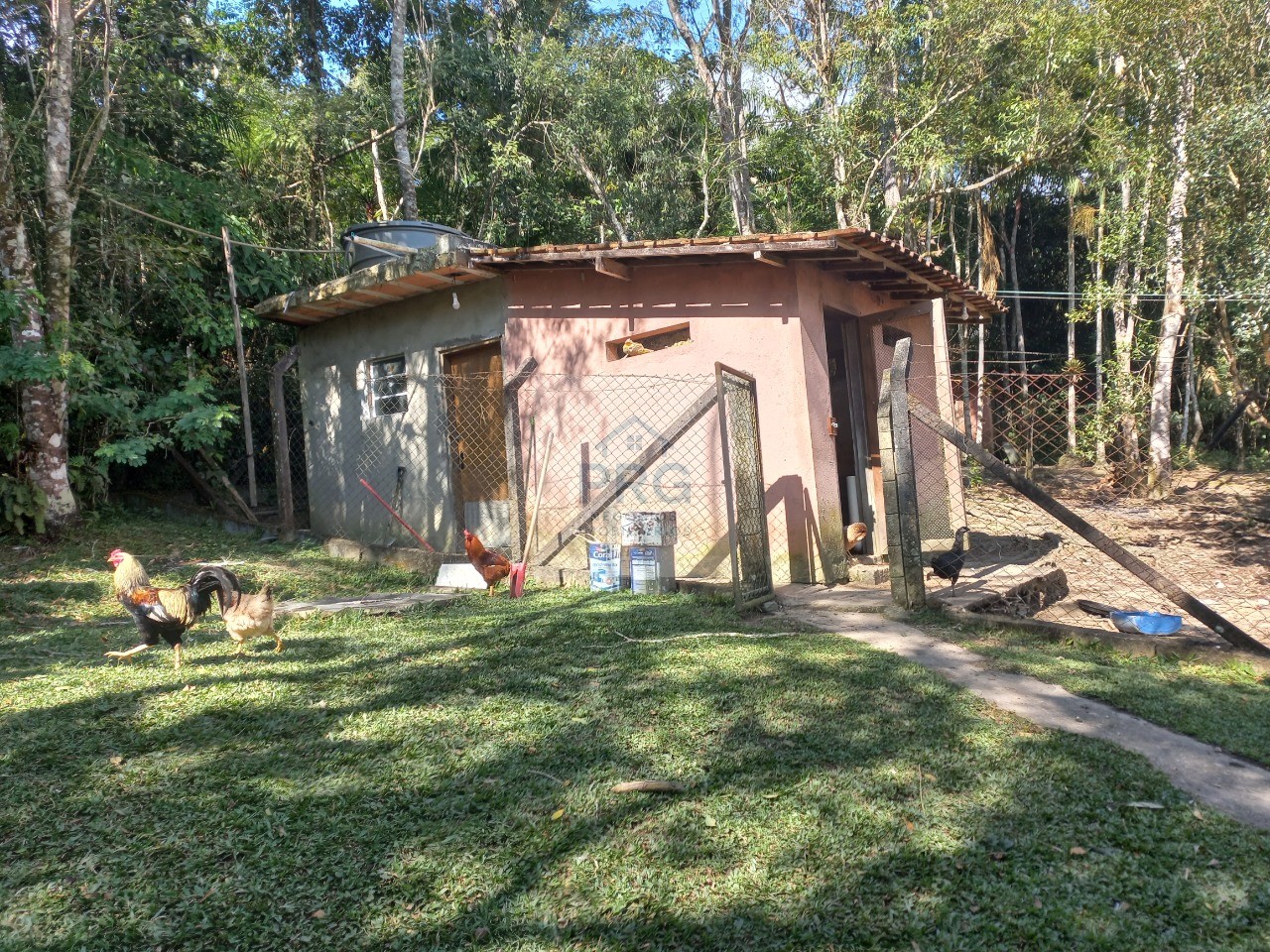 Chácara, 3 quartos, 8000 m² - Foto 26