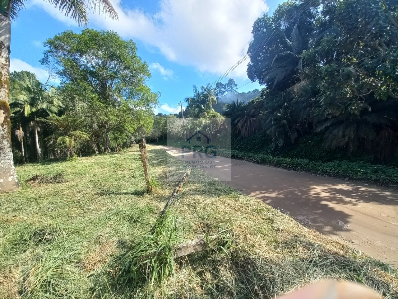 Terreno, 2 hectares - Foto 4