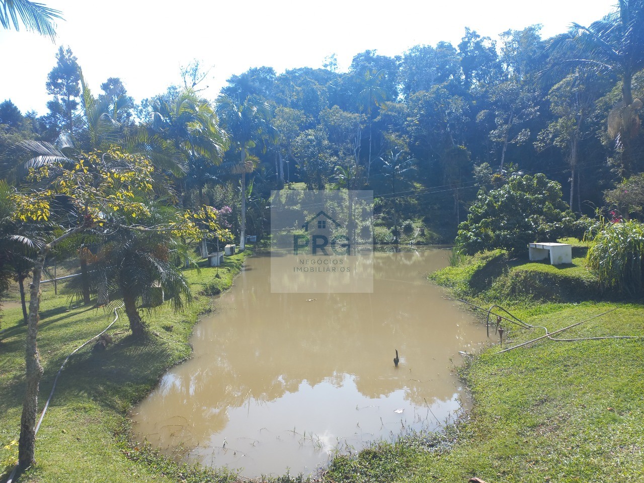 Chácara, 3 quartos, 8000 m² - Foto 27