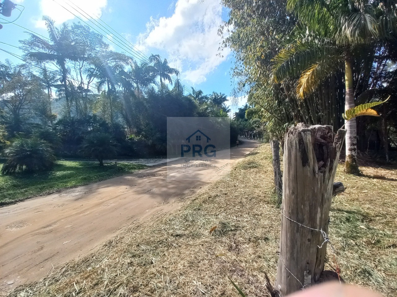 Terreno, 2 hectares - Foto 3