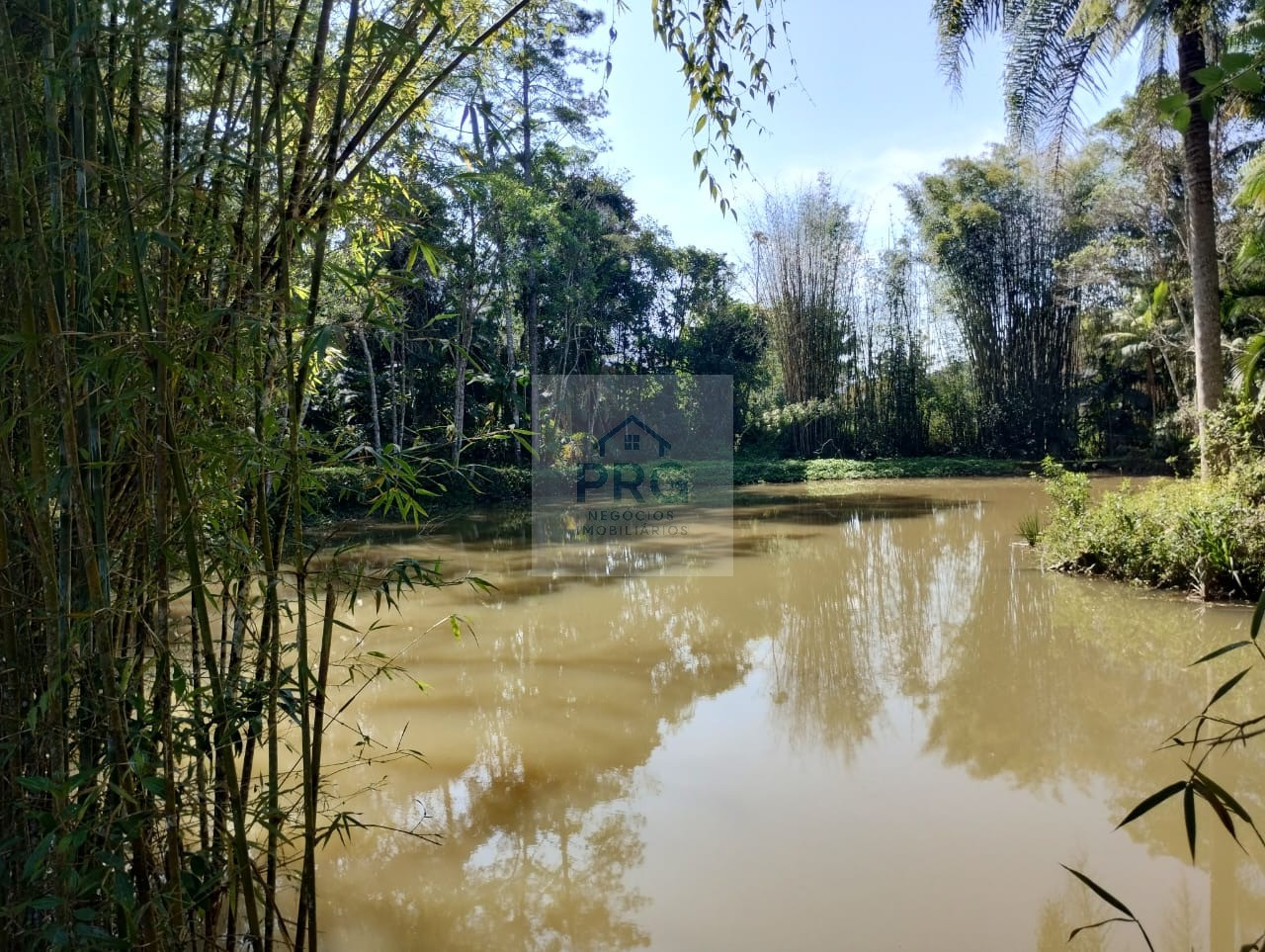Chácara, 3 quartos, 7 hectares - Foto 16