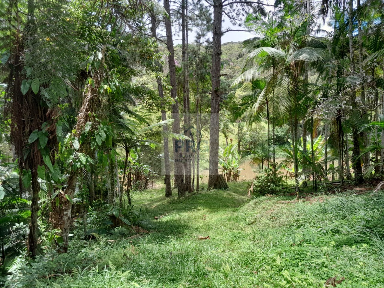 Chácara, 3 quartos, 7 hectares - Foto 4
