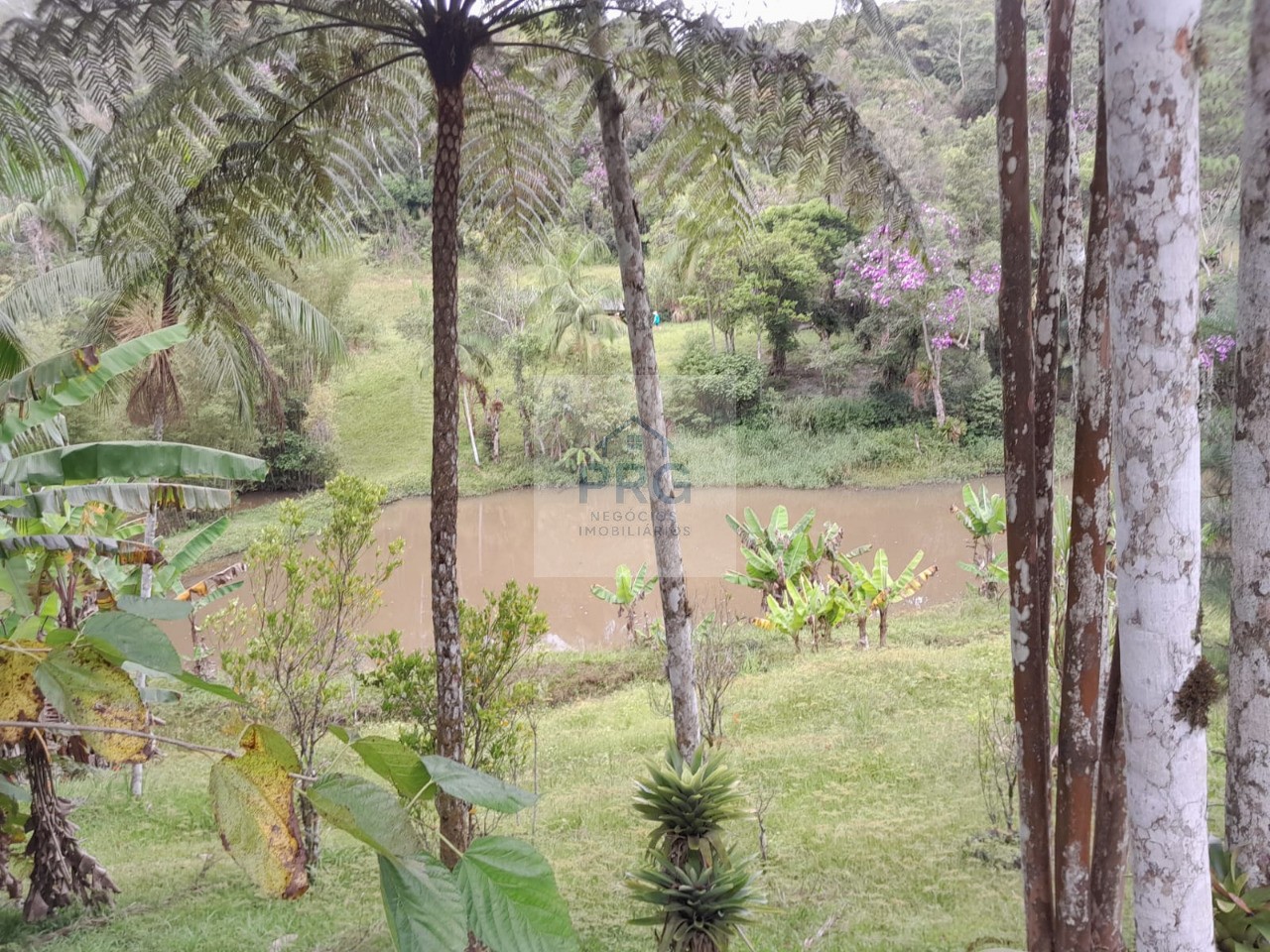 Chácara, 3 quartos, 7 hectares - Foto 13