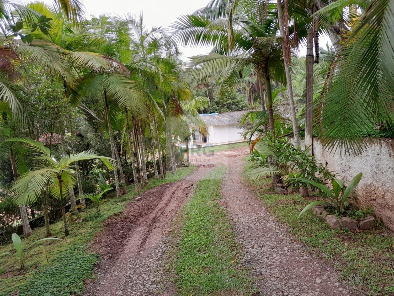 Chácara, 3 quartos, 7 hectares - Foto 27