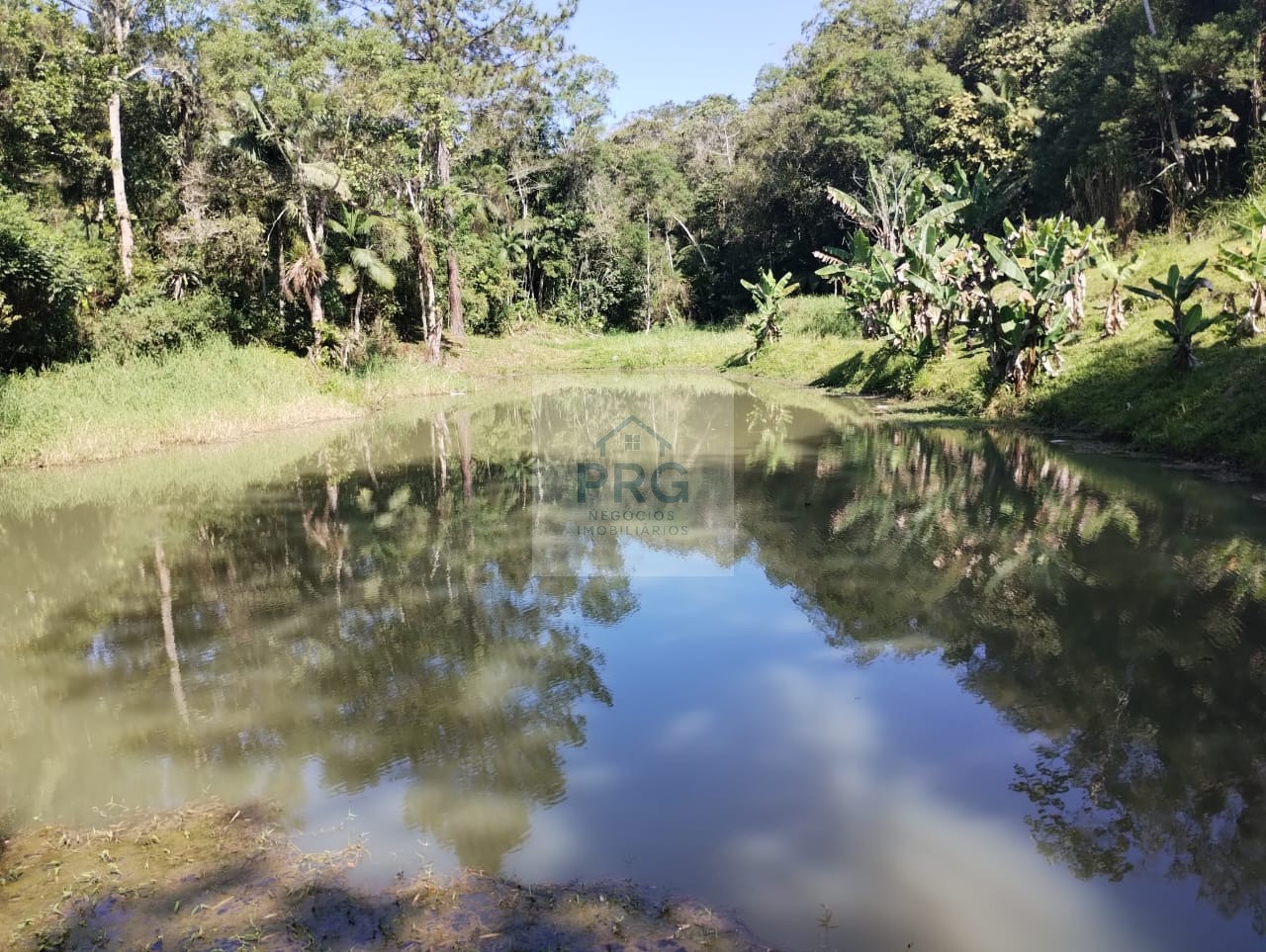 Chácara, 3 quartos, 7 hectares - Foto 17