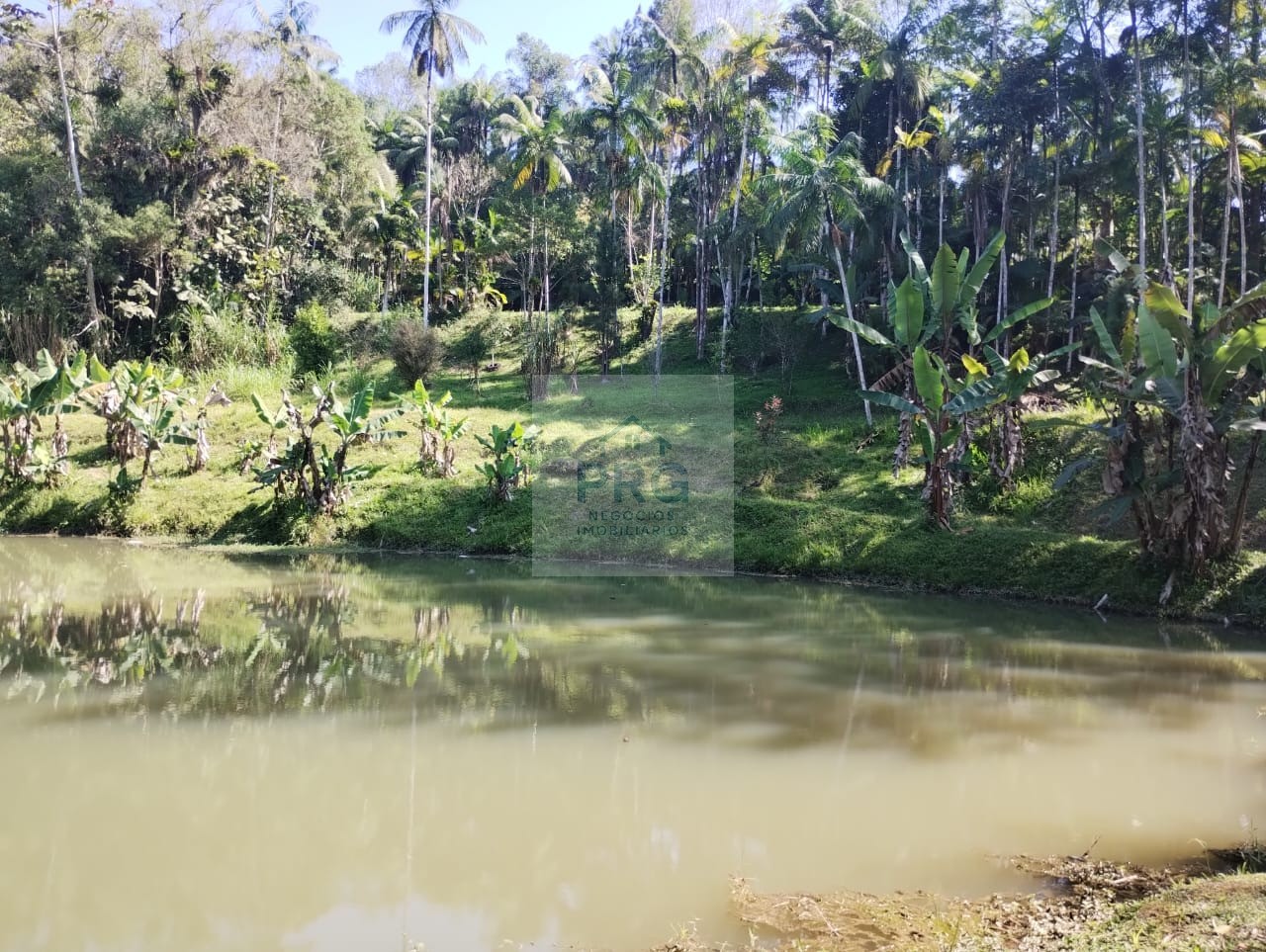 Chácara, 3 quartos, 7 hectares - Foto 14