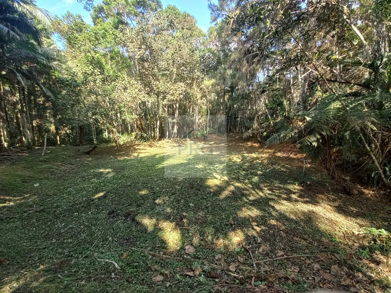 Terreno, 2 hectares - Foto 6