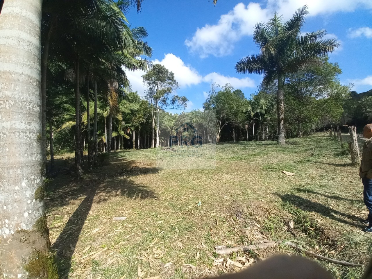 Terreno, 2 hectares - Foto 1