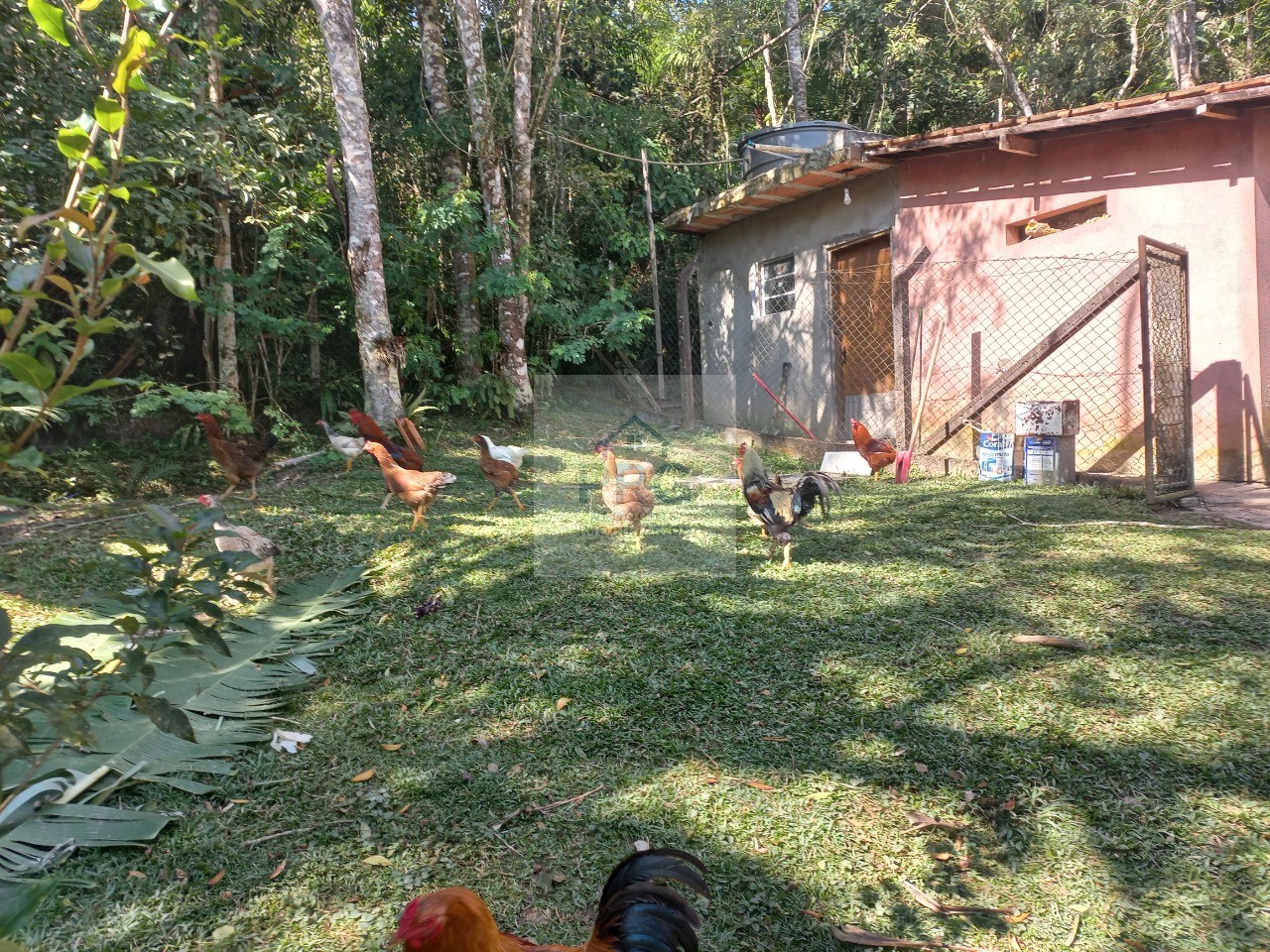 Chácara, 3 quartos, 8000 m² - Foto 25