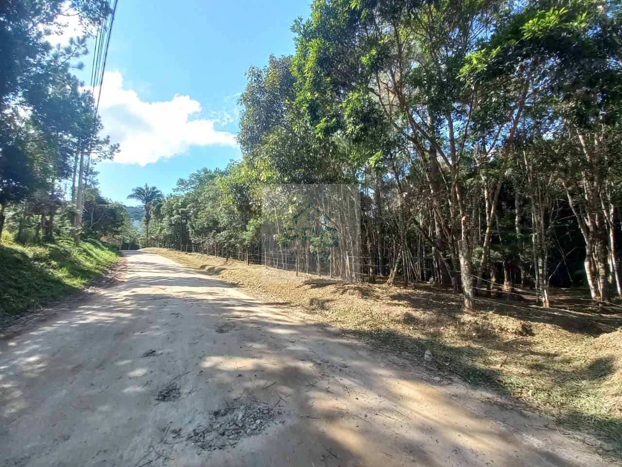 Terreno, 2 hectares - Foto 11