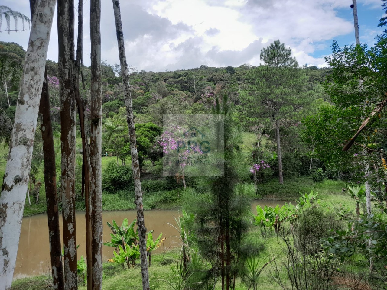 Chácara, 3 quartos, 7 hectares - Foto 20