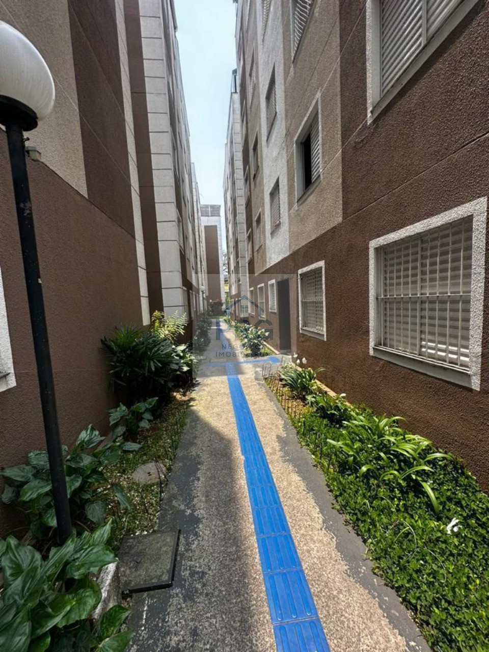Apartamento, 3 quartos, 54 m² - Foto 3