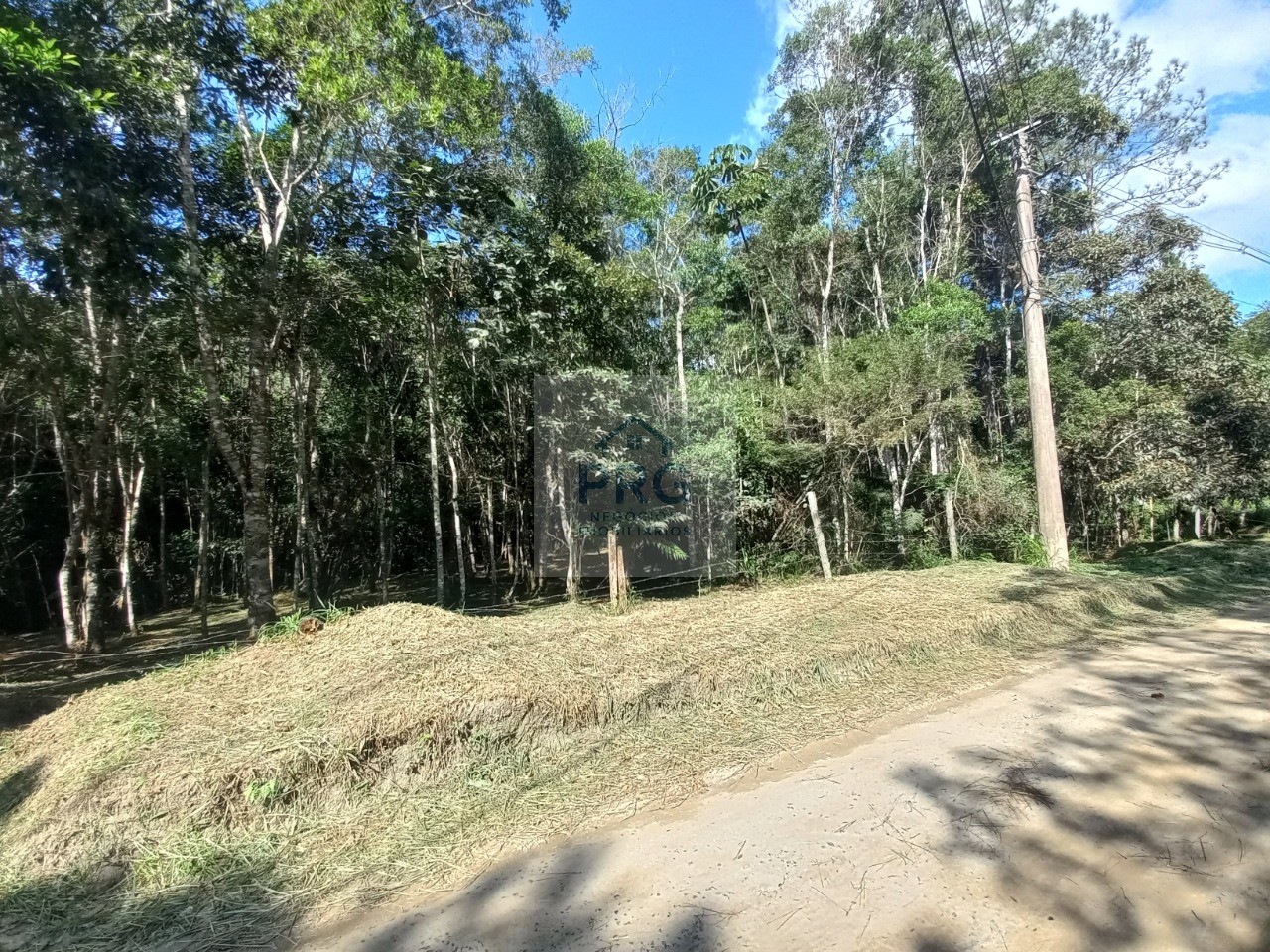 Terreno, 2 hectares - Foto 12