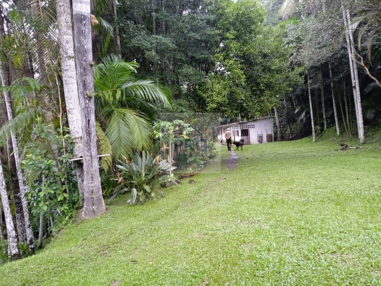 Chácara, 3 quartos, 7 hectares - Foto 6