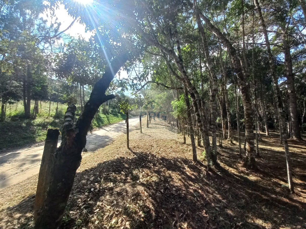 Terreno, 2 hectares - Foto 10