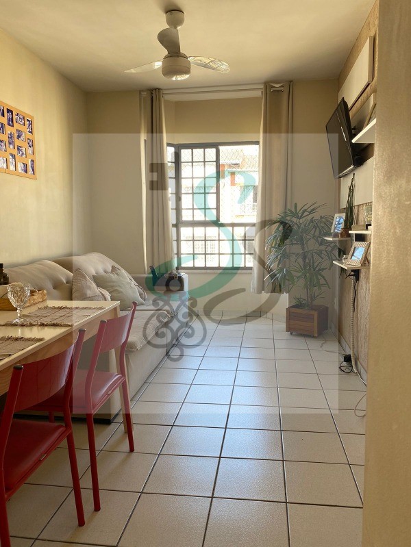 Apartamento, 3 quartos, 70 m² - Foto 7