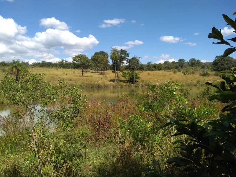Terreno, 3 hectares - Foto 4