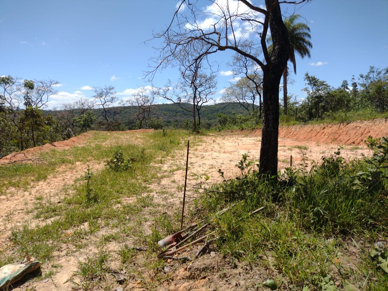Terreno de 5.000 m² em condomínio à venda na zona rural de e - foto 2