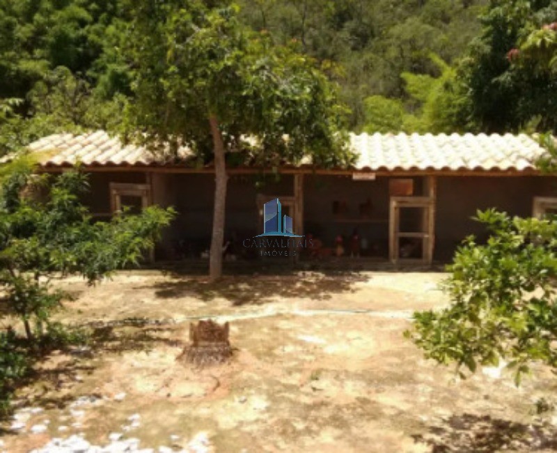 Sítio, 4 quartos, 2 hectares - Foto 4