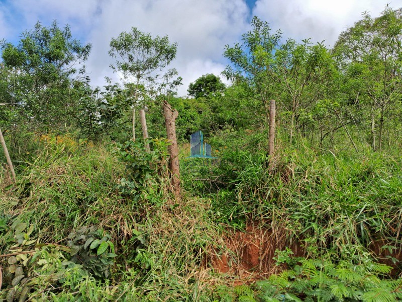 Terreno, 300 m² - Foto 4