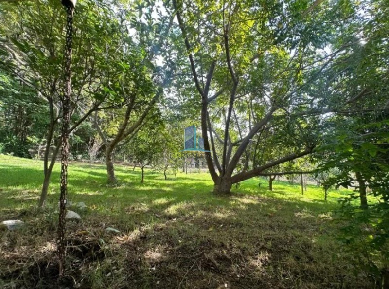 Chácara, 7 quartos, 2500 m² - Foto 12