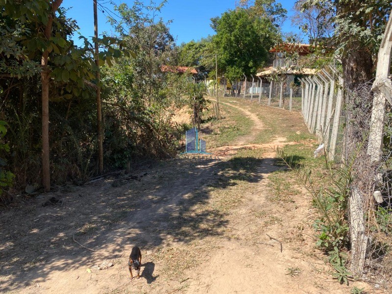 Sítio, 3 quartos, 4000 m² - Foto 16