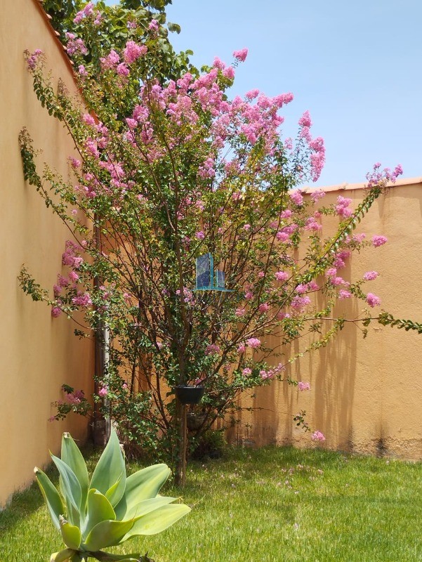 Casa, 2 quartos, 200 m² - Foto 17