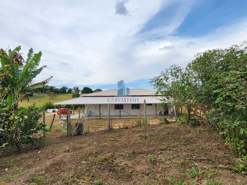 Sítio, 4 quartos, 20000 m² - Foto 3