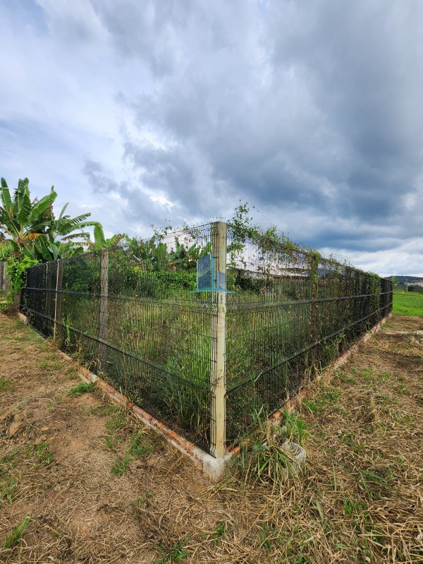 Sítio, 4 quartos, 20000 m² - Foto 19