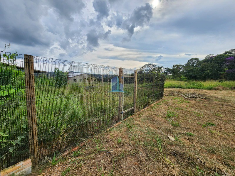 Sítio, 4 quartos, 20000 m² - Foto 17