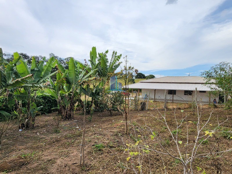 Sítio, 4 quartos, 20000 m² - Foto 5