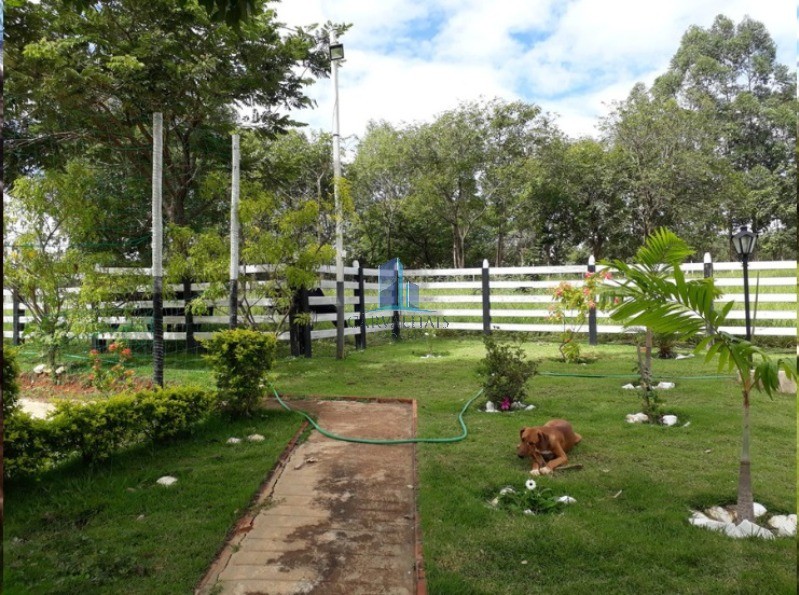Sítio, 5 quartos, 5 hectares - Foto 20