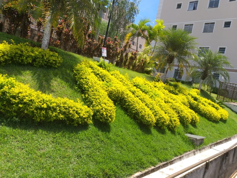 Apartamento à venda em betim-mg, bairro laranjeiras: 2 quart