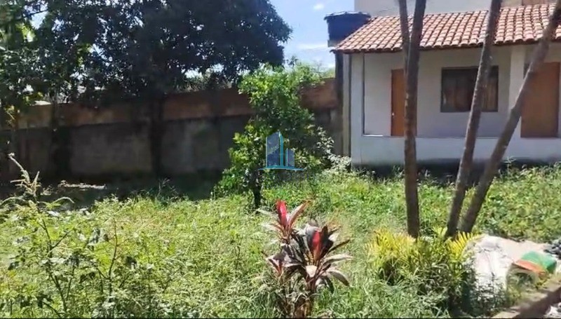 Casa, 3 quartos, 900 m² - Foto 2