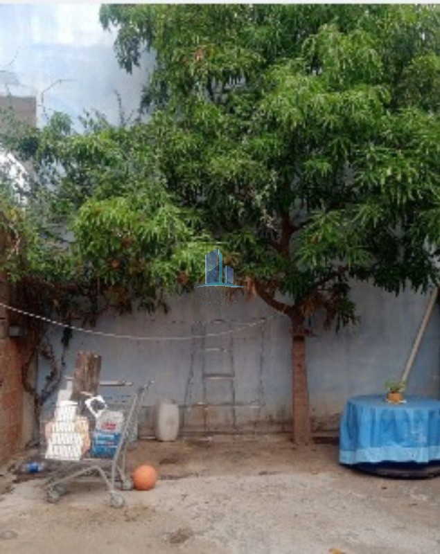 Casa, 3 quartos, 38 m² - Foto 2