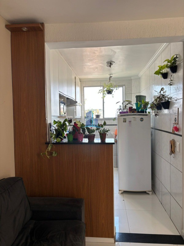Apartamento, 3 quartos, 58 m² - Foto 4