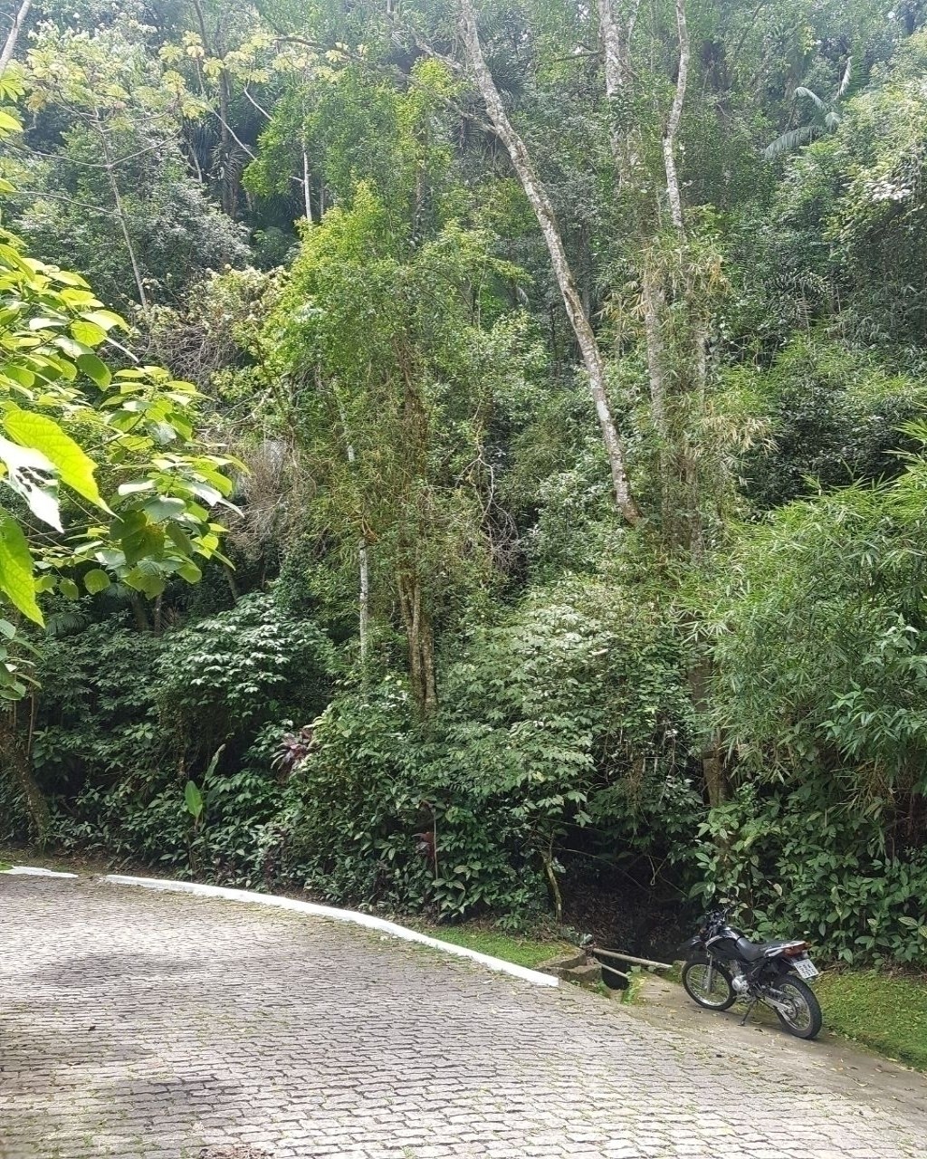 Terreno, 2050 m² - Foto 4