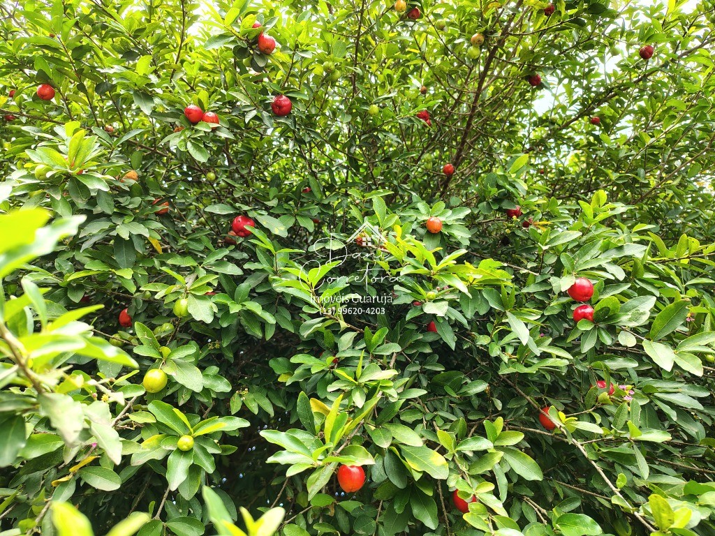 Casa, 3 quartos, 300 m² - Foto 54