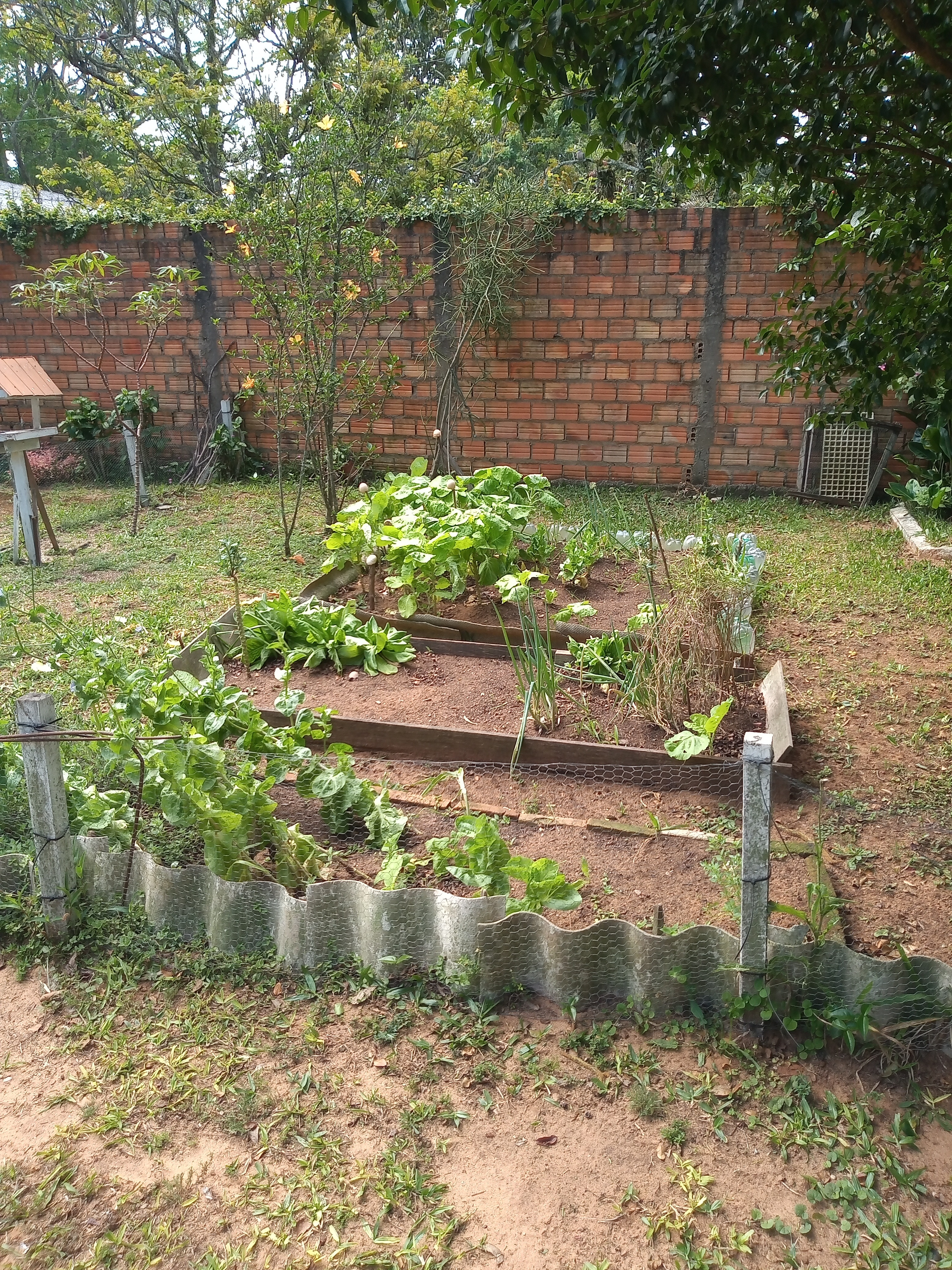 Casa, 3 quartos, 60 m² - Foto 2