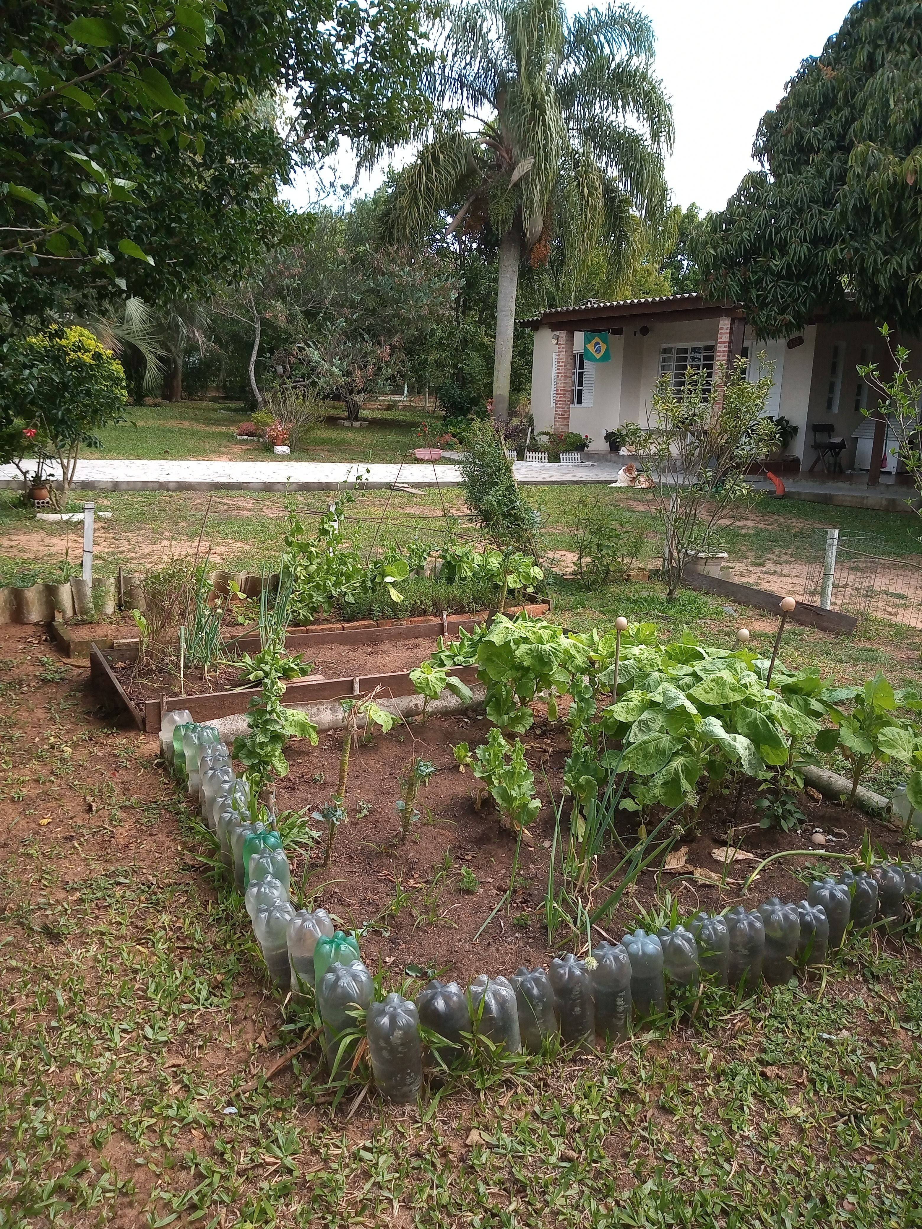 Casa, 3 quartos, 60 m² - Foto 3