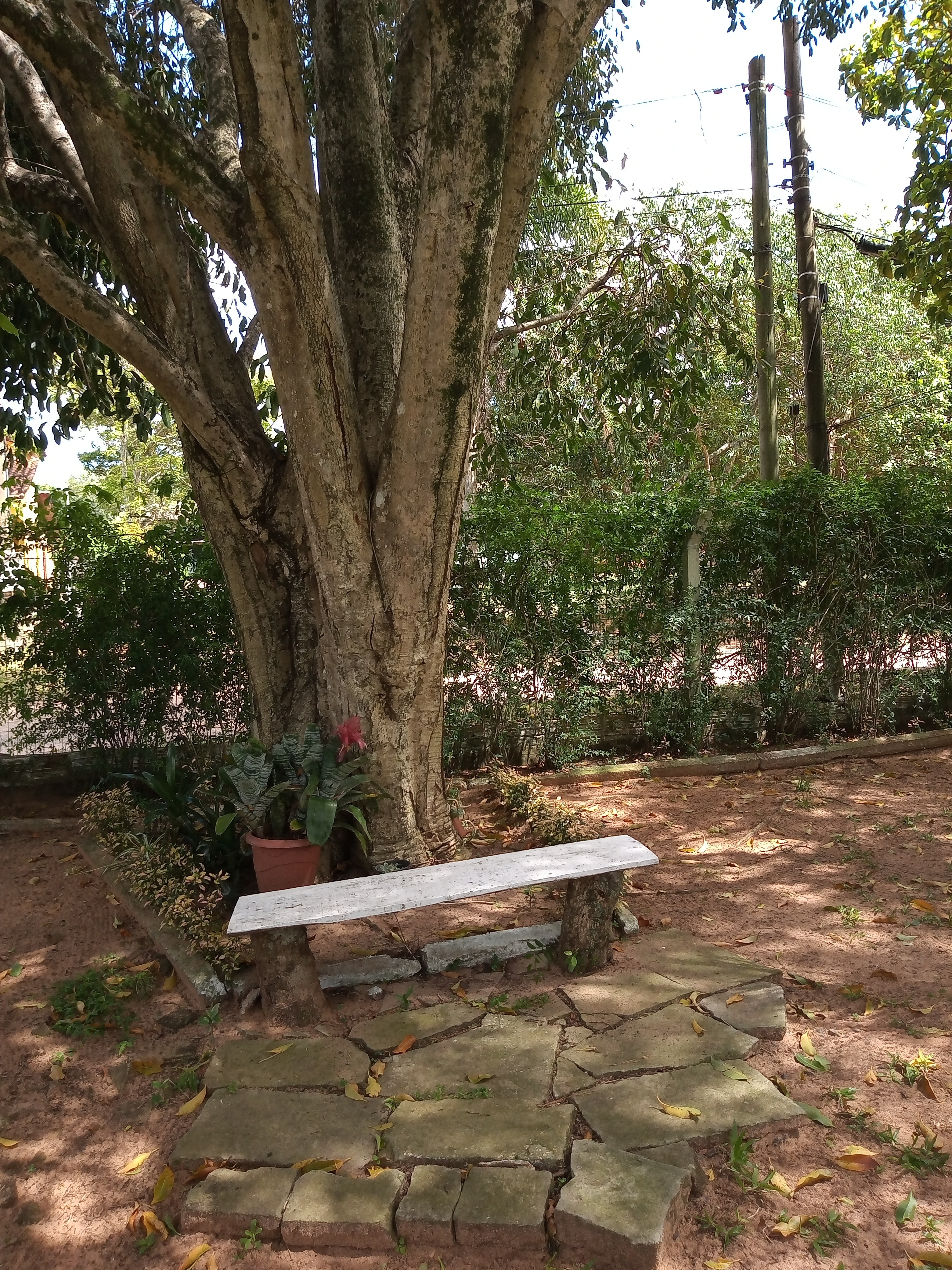 Casa, 3 quartos, 60 m² - Foto 5