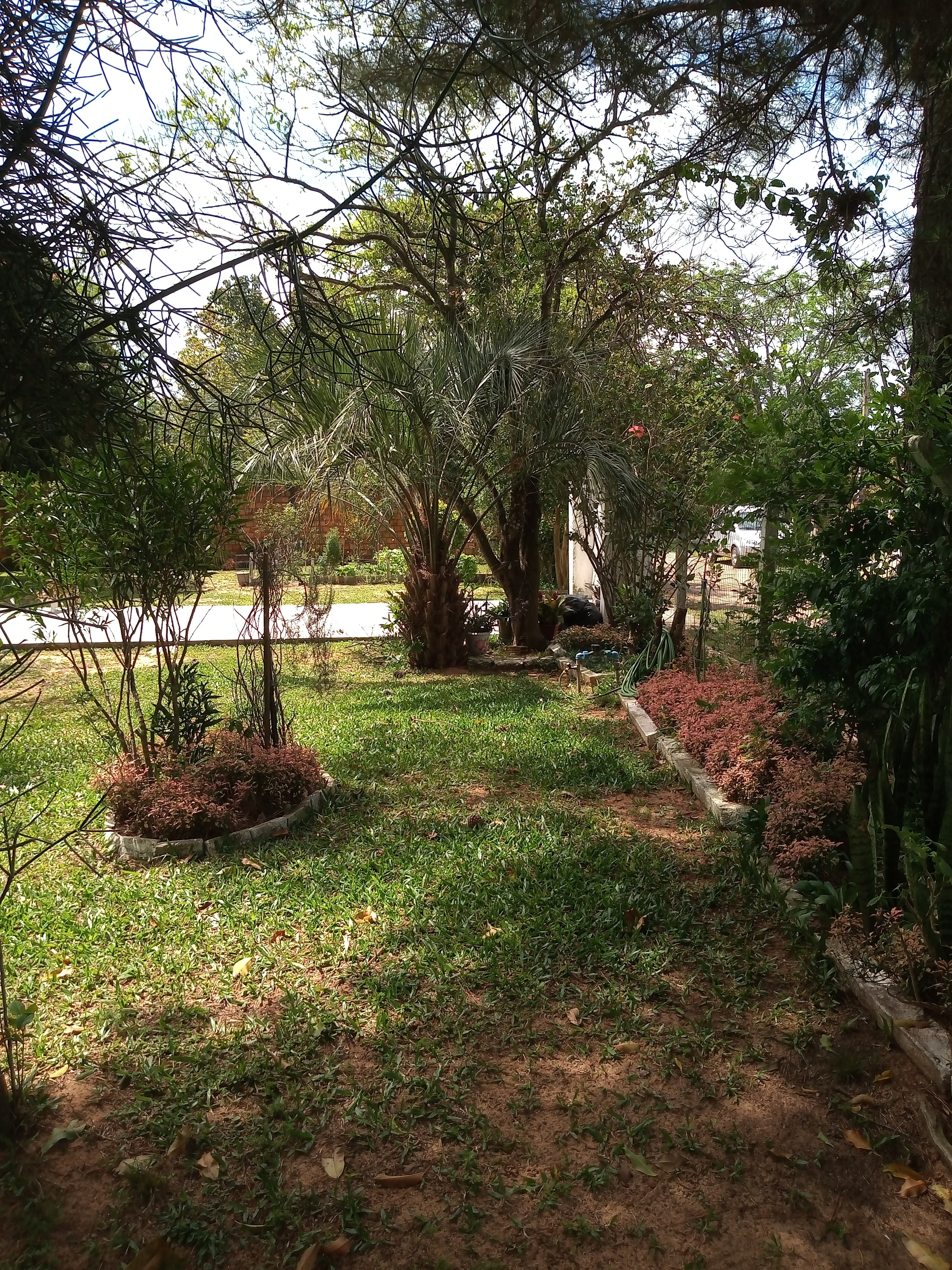 Casa, 3 quartos, 60 m² - Foto 6