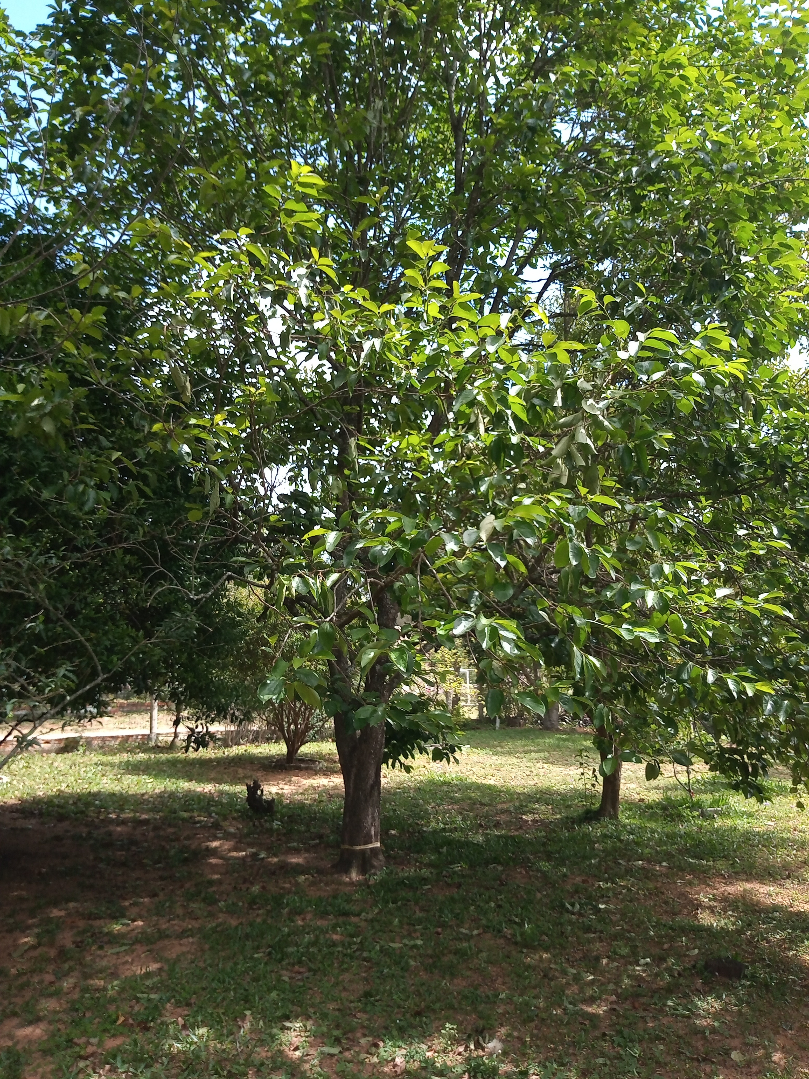 Casa, 3 quartos, 60 m² - Foto 8